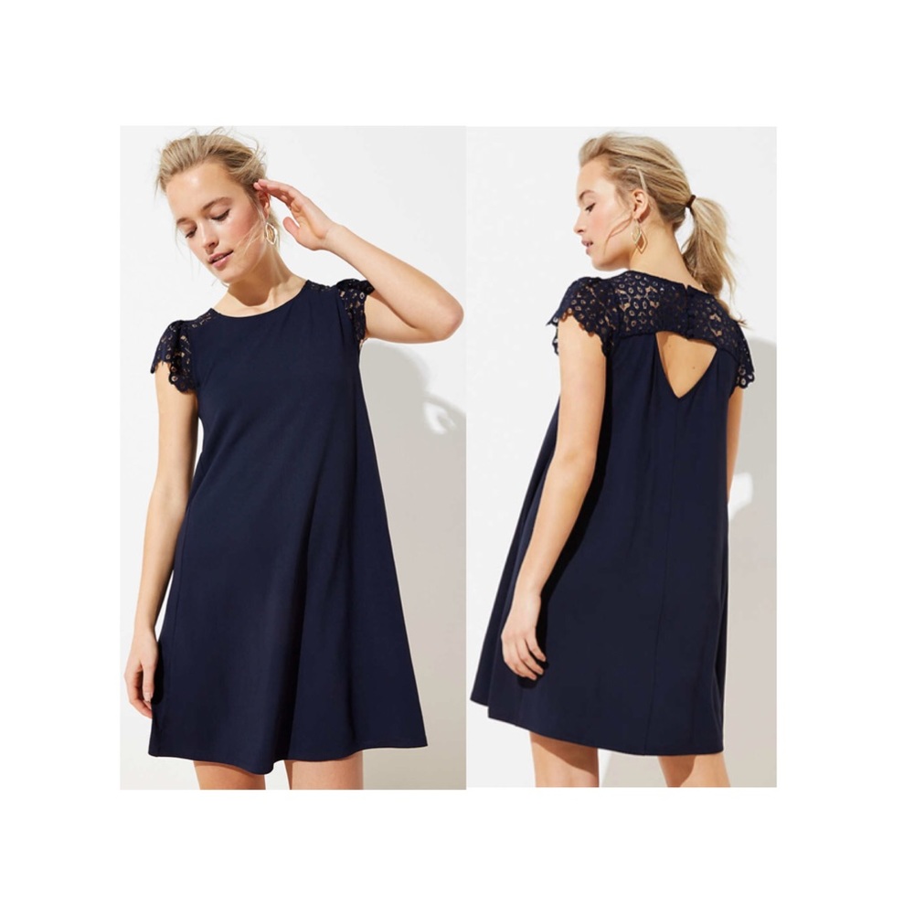 LOFT • Lace Sleeve Swing Dress